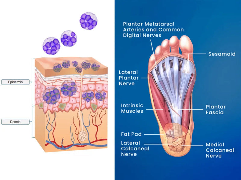 Kiyome Detox Patches