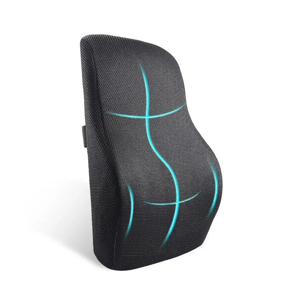 Memory Foam Lumbar Pillow for Back Pain