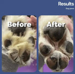 SilentTrim Pro | Ultra-Quiet Cordless Pet Grooming Kit