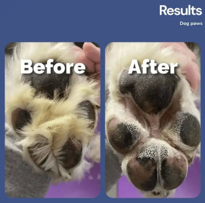 SilentTrim Pro | Ultra-Quiet Cordless Pet Grooming Kit