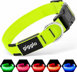 Luminous Dog Collar