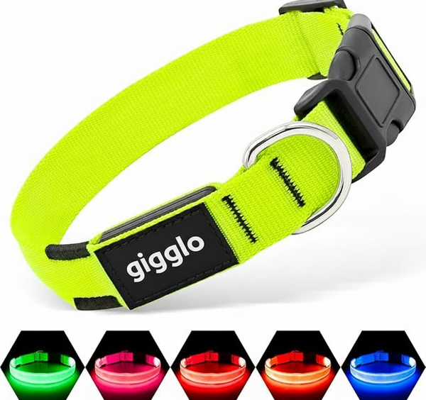 Luminous Dog Collar