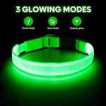 Luminous Dog Collar