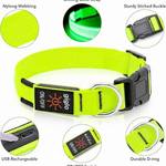 Luminous Dog Collar