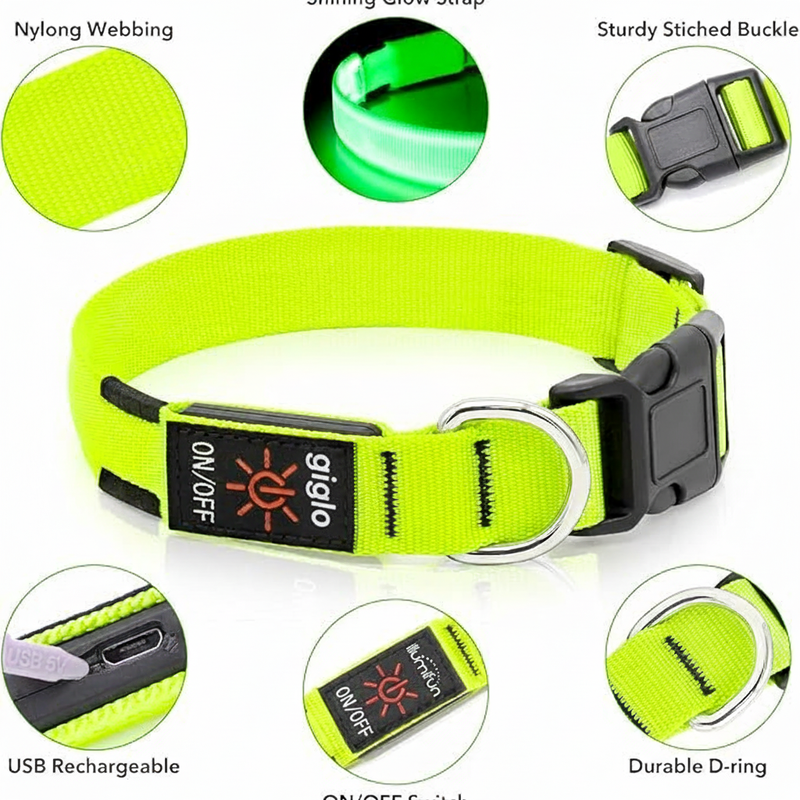 Luminous Dog Collar